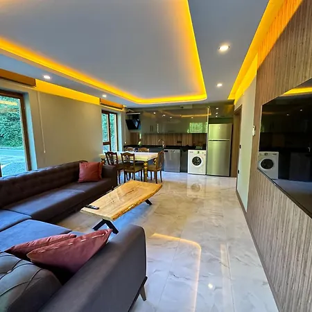 Chalet Tuva Camlihemsin